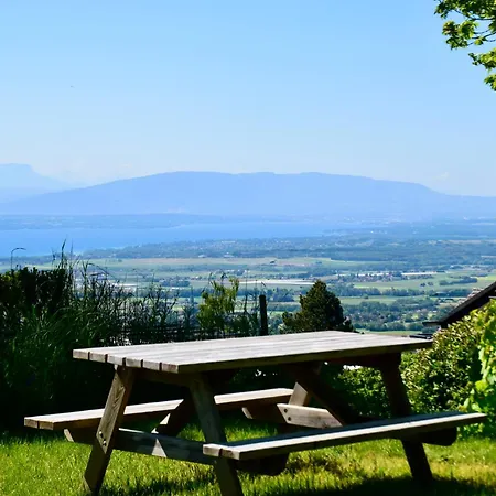 Appartement Calin - Business&familles Arzier