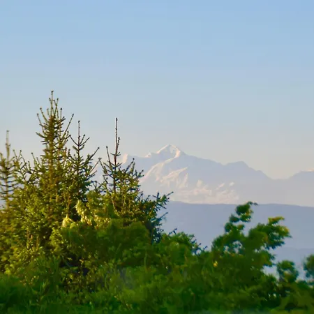 Calin - Business&familles