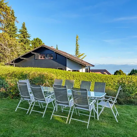 Calin - Business&familles