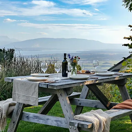 Calin - Business & Familles *