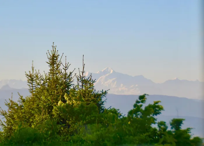 Calin - Business & Familles